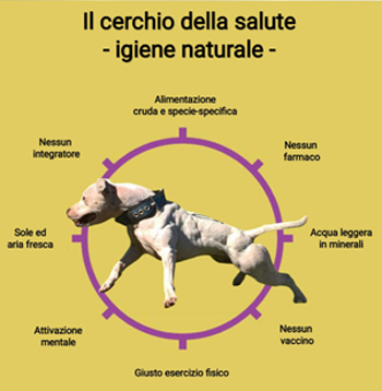 LE NEOPLASIE NEI CANI DOMESTICI