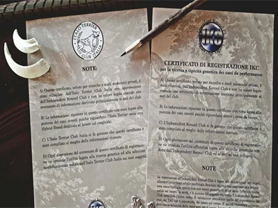 certificati